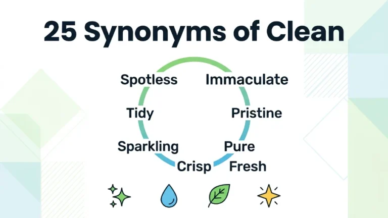 Synonyms of Clean