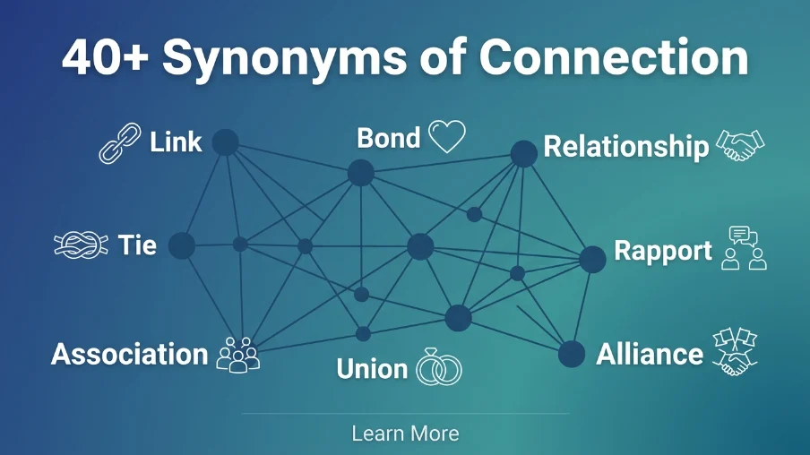 Synonyms of Connection